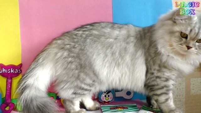 Скрепыши 3 магнит Антистрессы и бумажные сюрпризы своими руками