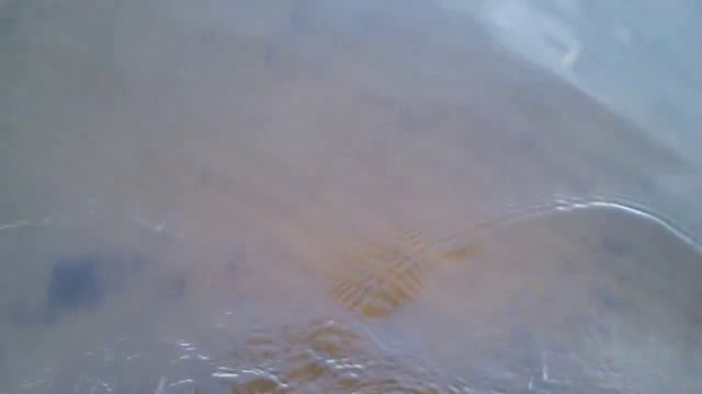 Белое море смотреть онлайн