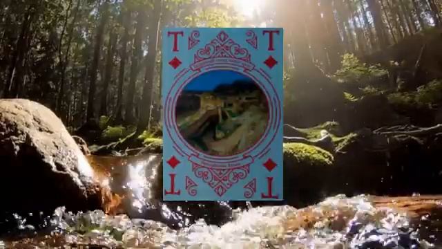 ♦Т Президент компании: личность человека по дате рождения смотреть онлайн