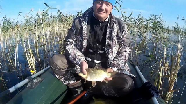 Продолжение утренней рыбалки на карася!!! Часть 3 смотреть онлайн