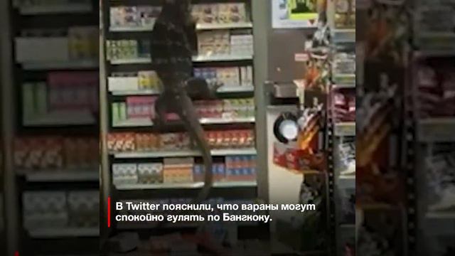 В сети появилось видео, на котором гигантский варан залезает на полки супермаркета в Таиланде смотреть онлайн