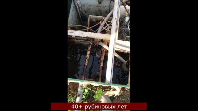 Вызвали спеца по обслуживанию септиков определяем объем работ Часть 1 смотреть онлайн