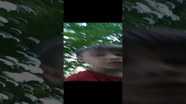 (Не советую повторять это!)Забираюсь на дерево с тремя стволами!????