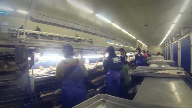 ЛСО Меркурий - Лойд-Фиш,ёу!