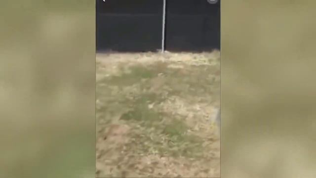 Тест на психику Засмеялся подписался десять минут смеха ЛУЧШИЕ ПРИКОЛЫ 2021-2022 смотреть онлайн