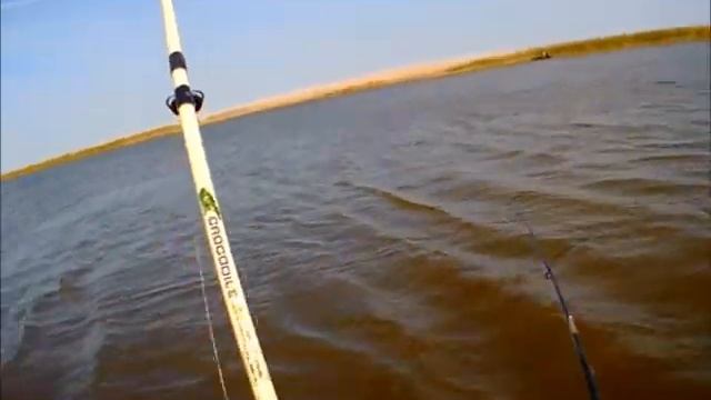 Ловля Сазана с лодки на фидера смотреть онлайн