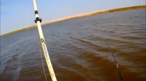 Ловля Сазана с лодки на фидера