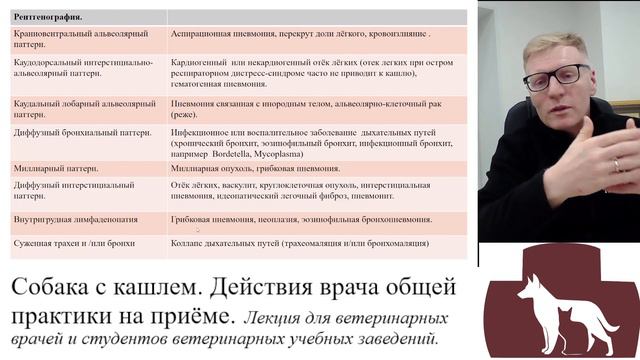 Собака с кашлем. Действия врача общей практики на приеме. Часть третья. смотреть онлайн