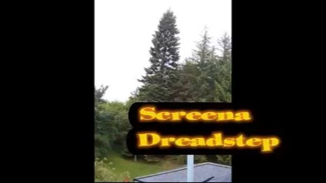Dreadstep - Screena (Dub n Dubstep) смотреть онлайн