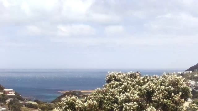 Island Bay - Cook Strait - Timelapse 20231114 смотреть онлайн