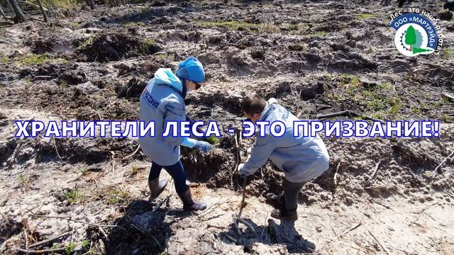 С Днем работников леса!!! смотреть онлайн