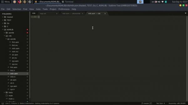 // Язык Ассемблера #9 [FASM, Linux, x86-64] //