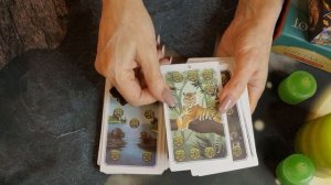 Обзор Таро Колод.Анима Мунди Таро.Anima Mundi Tarot.