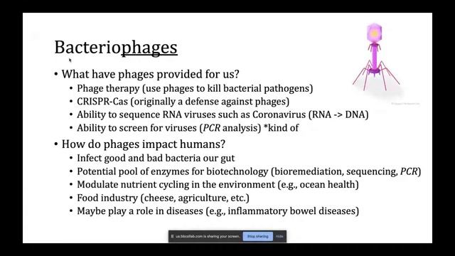 PyData Madison Meetup: Creating a distributable software with basic Python skills смотреть онлайн