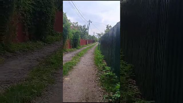 украли тапки