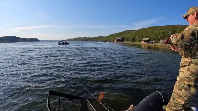 МОРЕ ГОРБУШИ / SEA OF PINK смотреть онлайн
