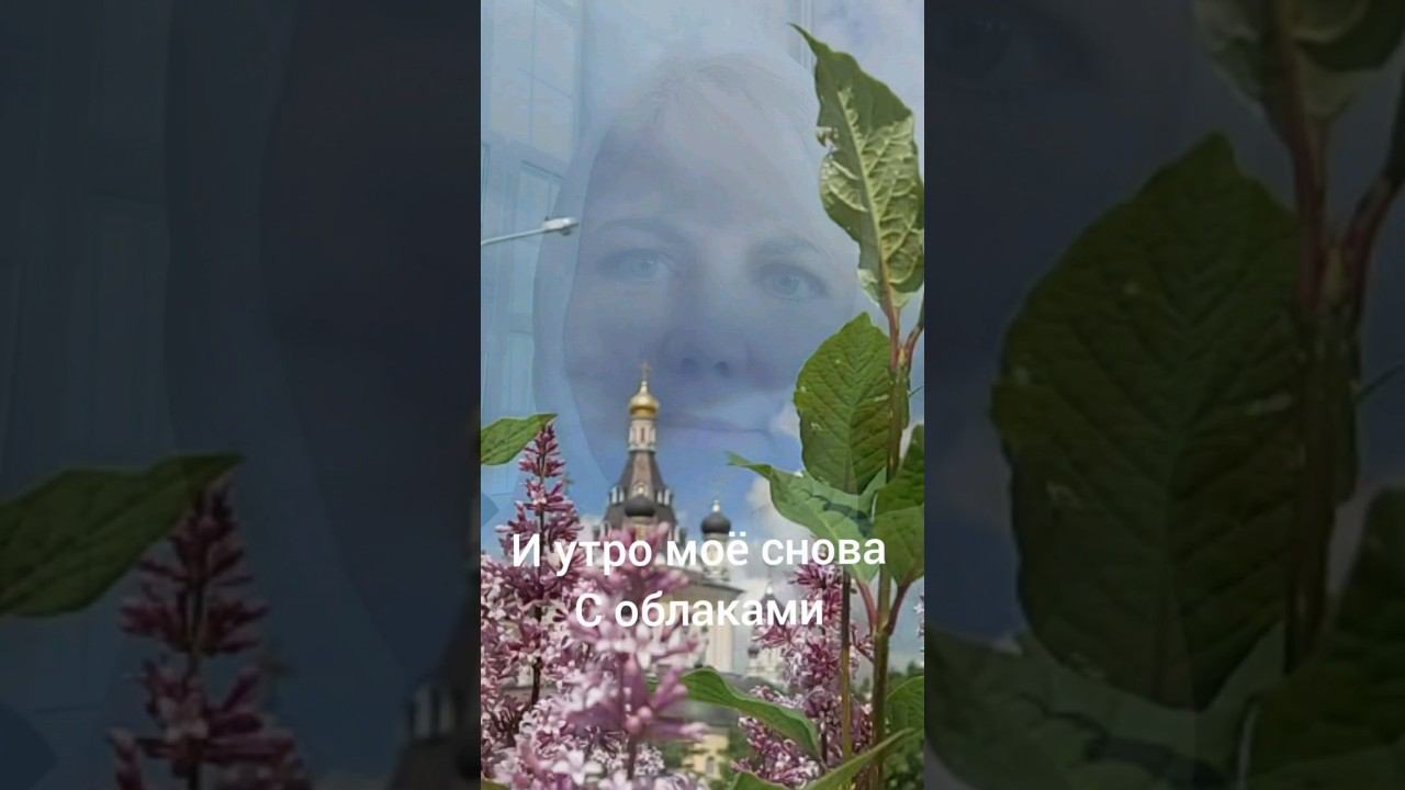 Прекрасных дней в любви и гармонии #любовь смотреть онлайн