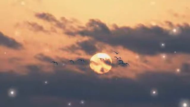 Ваня Лабано и Лёша Лабано - Упрэ Дыкхав 2020