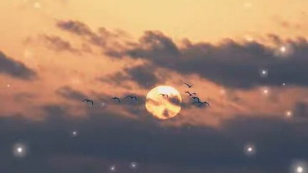 Ваня Лабано и Лёша Лабано - Упрэ Дыкхав 2020