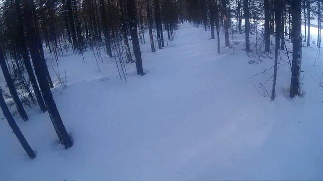 ХОДОВАЯ ОХОТА НА ДИЧЬ-РЯБЧИКИ,КУРОПАТКИ и ТЕТЕРЕВА в СКАЗОЧНОМ ЗИМНЕМ ЛЕСУ! смотреть онлайн