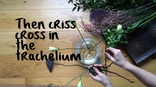 Freesias, genista, trachelium, ruscus смотреть онлайн