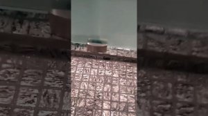 Душевая перегородка из матового стекла