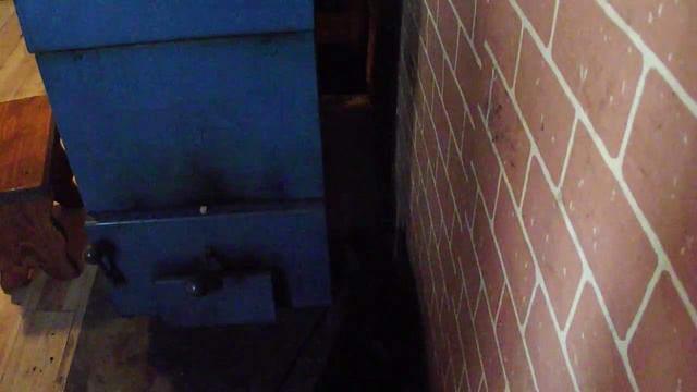 Кот защищает свой дом смотреть онлайн