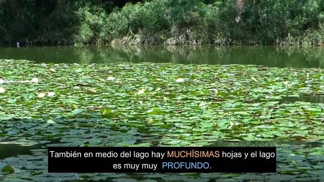 SPANISH LISTENING PRACTICE A2- B1 👂/ Ejercicio de escucha en español nivel[ básico intermedio.] смотреть онлайн