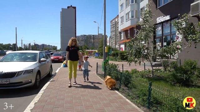 День рождения собаки Кекса? Стрижка и маникюр для шпица/3+ смотреть онлайн