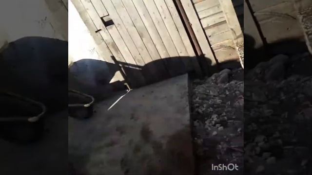 Навес деревянный одно скатный своими руками. навес на хоз дворе у нутрий.