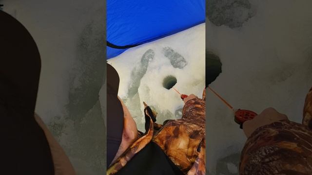 Рыбалка на Меше смотреть онлайн