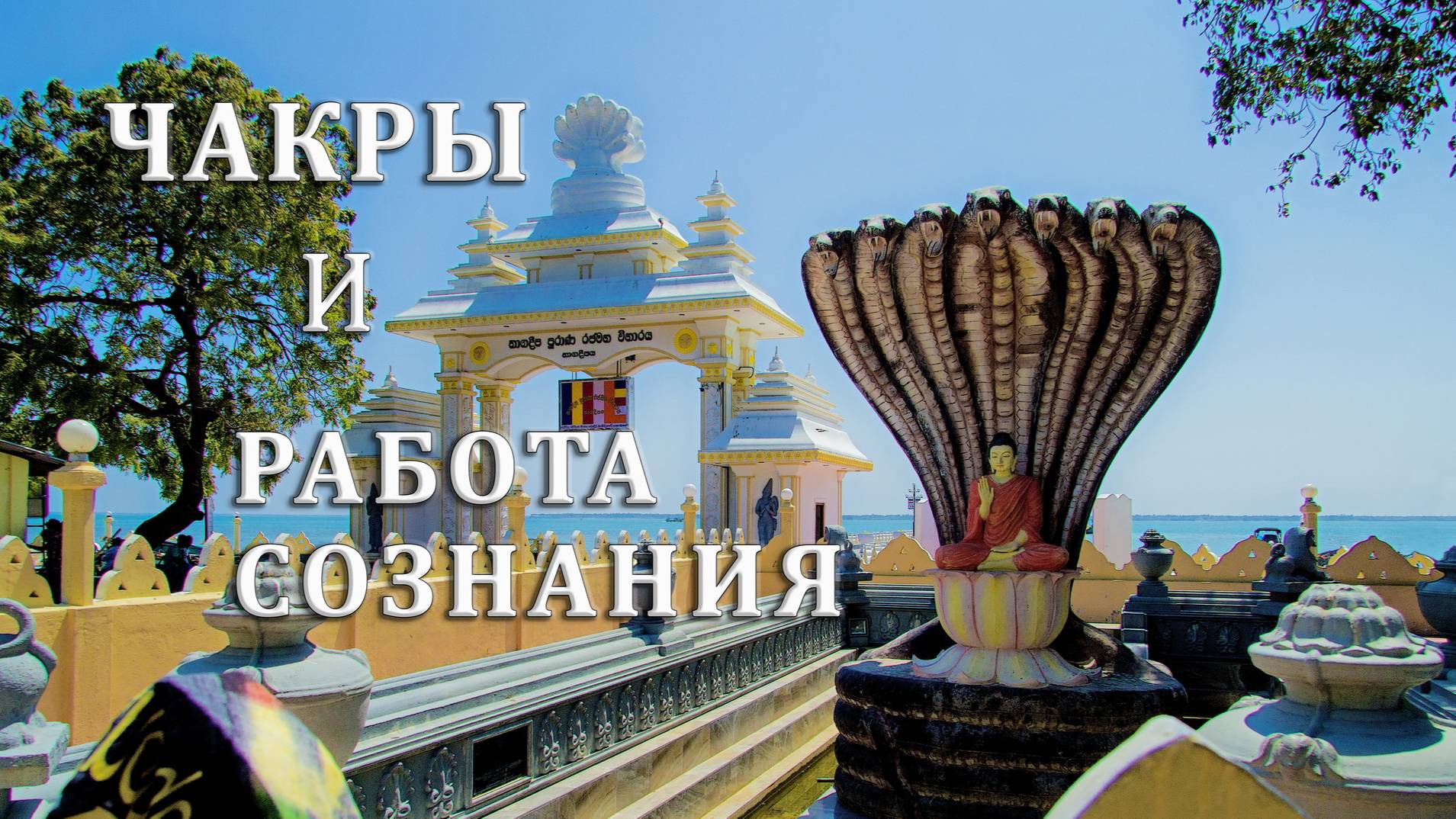 ЧАКРЫ И РАБОТА СОЗНАНИЯ смотреть онлайн