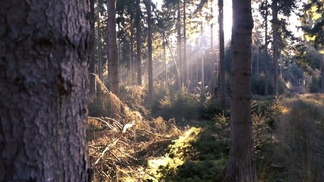 Расслабляющая фортепианная музыка для снятия стресса,для медитации,для сна.Музыкальная романтика. смотреть онлайн