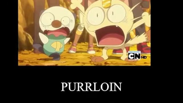 Meowth and Oshawott asking purrloin out смотреть онлайн