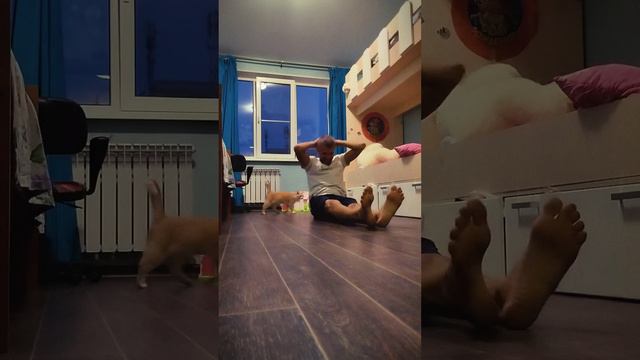 день 37 смотреть онлайн