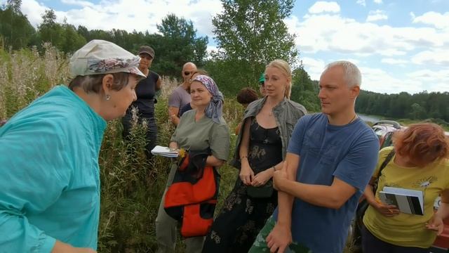 Борщевик и полевой хвощ смотреть онлайн