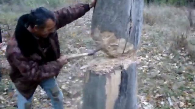 Рубаем дерево смотреть онлайн