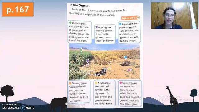 Grade 2 savanna part 1 final correct version 2020 смотреть онлайн