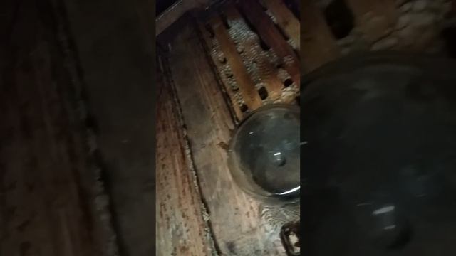 Зимовка . Подкормка пчелосемей сиропом . смотреть онлайн