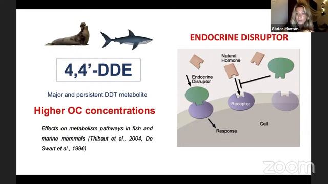 65a Ponencia, Gador Muntaner, NO SHARKS, NO BLUE смотреть онлайн