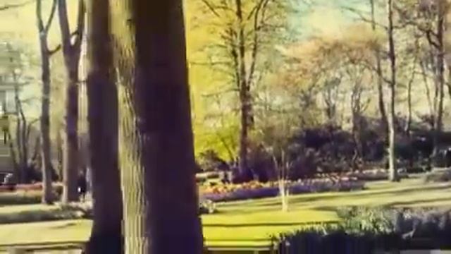 Амстердам!!! Кекенхоф (Keukenhof) 30.04.2015 смотреть онлайн