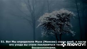 сура "Аль Бакара"   #сура #коран #бакара #ислам