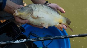 Волжанка Оптима - поплавочное удилище с кольцами