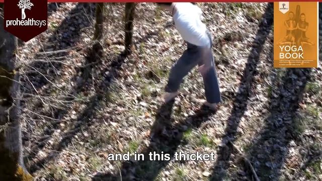 PHS Earth The Yogi Funny :) Ethan & Dr Vizniak Yoga Book смотреть онлайн