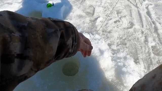 ПОПАЛИ В ЦАРСТВО ОКУНЕЙ НА КОРОЛЕВСКИХ ЕРШЕЙ! НАШЕ ЛУЧШЕЕ ЗАКРЫТИЕ ЗИМНЕЙ РЫБАЛКИ, БЫЛО КЛЁВО!!! смотреть онлайн
