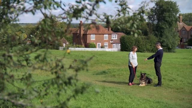 ? Tracking Down A Missing Cat Owner | FULL EPISODE | S01E04 | Vet On The Hill смотреть онлайн