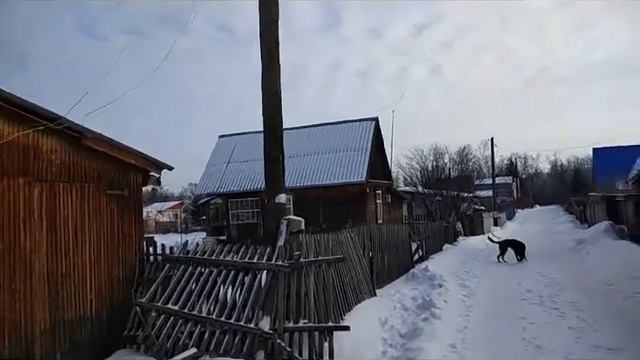 Начинающий ютубер.Первый опыт.Про забор. смотреть онлайн