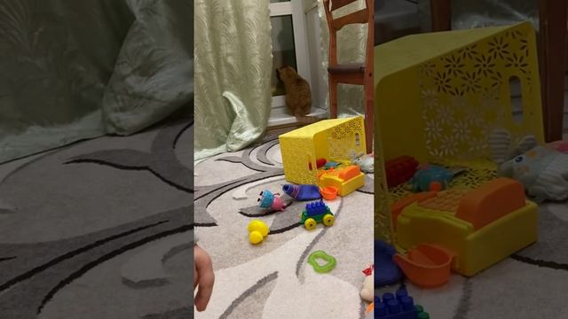 Когда душа требует праздника, но все против тебя