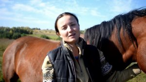 В каком возрасте крыть кобылу. Чем кормить беременную кобылу. Какую верховую нагрузку ей давать