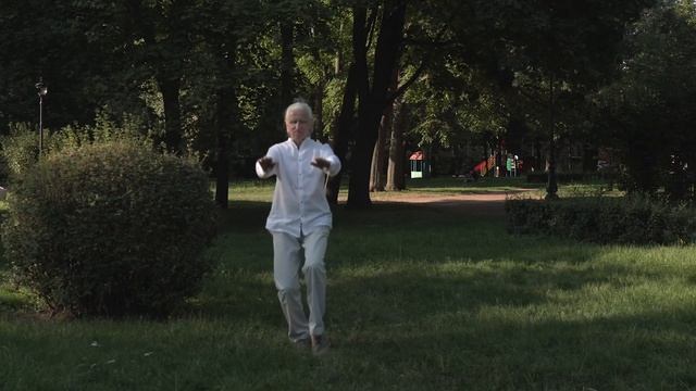 Цигун_парящий журавль_4 смотреть онлайн